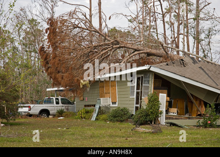 Baum-Schäden durch Hurrikan Katrina Waveland Mississippi Stockfoto