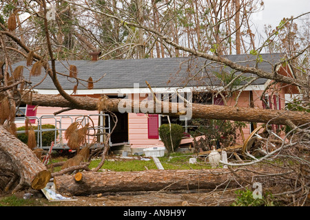 Baum-Schäden durch Hurrikan Katrina Waveland Mississippi Stockfoto