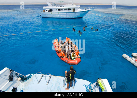 Taucher gehen mit dem Boot Schiff Wasserlinie Oberfläche Leute tauchen Meister Tauchen Ägypten Rotes Meer Dolfin Gruppenhaus Shab Marsa Alam Stockfoto