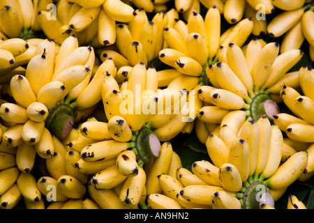 Trauben von Bananen Bangkok Thailand Stockfoto