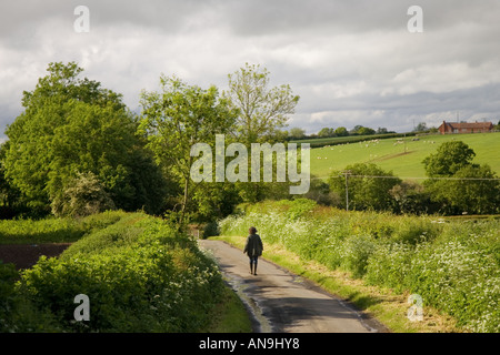 Frau geht auf einen Feldweg Oxfordshire, Vereinigtes Königreich Stockfoto