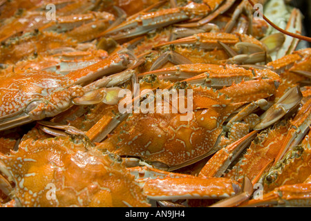 Frisch gekocht blauen Schwimmer Krabben zum Verkauf in Sydney Fish Market Darling Harbour, Australien Stockfoto