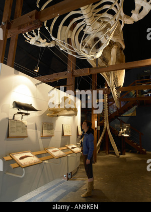 Junge Frau im Walmuseum Husavik Island Stockfoto