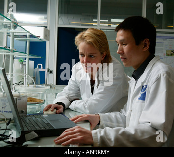 Forscher arbeiten an Fisch-Labor Stockfoto