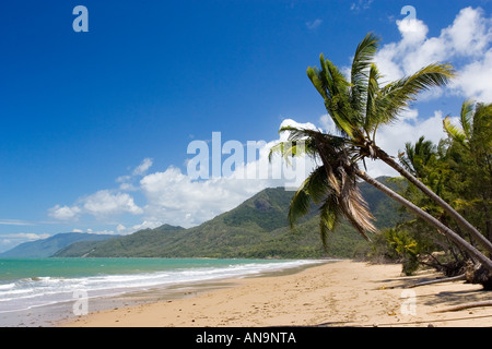 Thala Beach und der Coral Sea Port Douglas, Australien Stockfoto