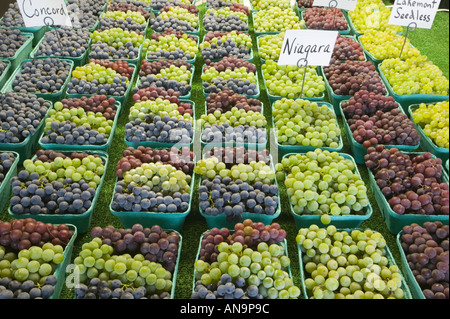 Trauben für den Verkauf an Josephs Strecke Markt Neapel Traube pie Capitol Finger Lakes New York Stockfoto