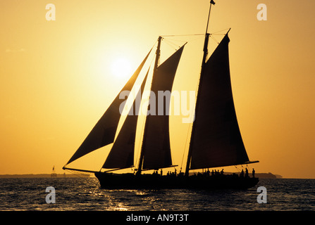 Schoner Segeln Florida Keys, Florida, USA Stockfoto