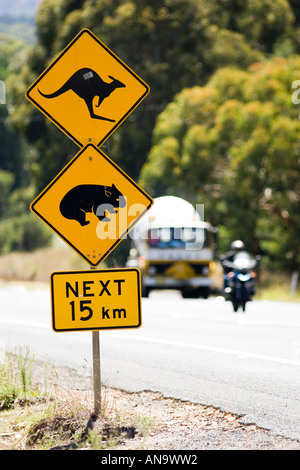 Tiere kreuzen unterschreiben auf Great Western Highway aus Sydney New South Wales Australien Stockfoto