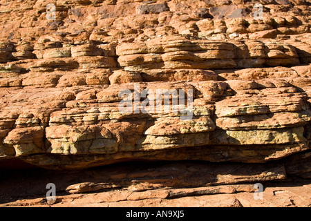 Sandstein Kuppeln in Form von Bienenstöcken auf King s Canyon Red Centre Australien Stockfoto