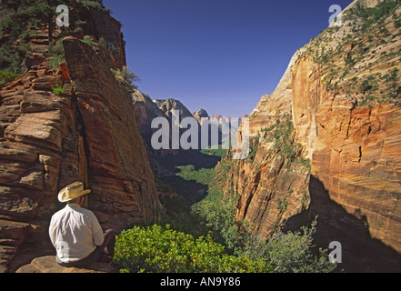 Wanderer zu Angels Landing, Zion Canyon unten, Zion Nationalpark, Utah, USA Stockfoto