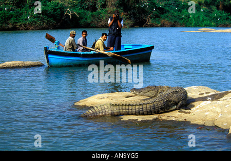 FOTOGRAFIEREN EINE WÄRMEZONE KROKODIL-KARNATAKA Stockfoto