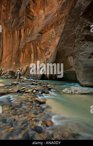 Die Narrows, Zion Nationalpark Stockfoto