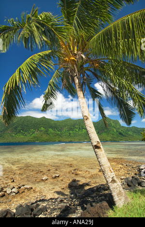 SAMOA UPOLU NE Nord-Ost Nordost Nord Ost in der Nähe von Uafato und Fagaola Bay Küste Ufer an der Küste vor der Küste eingerückt viel ragg Stockfoto