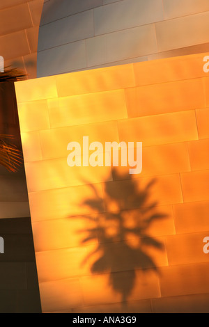 Palm Tree Schatten auf Metallhaut Wand von der Walt Disney Concert Hall in Los Angeles Stockfoto