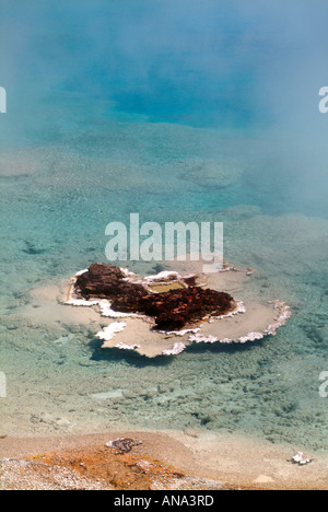 Nahaufnahme des blassen blauen Wasser und gemusterten felsigen suchen Boden des Excelsior Geyser bei Midway Becken Yellowstone-Nationalpark Stockfoto