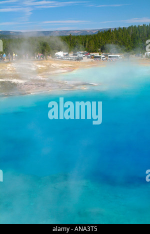 Hellblau, dampfenden Wasser des Excelsior Geyser bei Midway Becken Yellowstone National Park mit Pinien Lodgepol Stockfoto