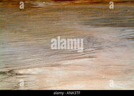 Nahaufnahme von der Run-Off Bereich von Grand prismatische Frühling Midway Geyser Basin Yellowstone-Nationalpark Wyoming USA Stockfoto