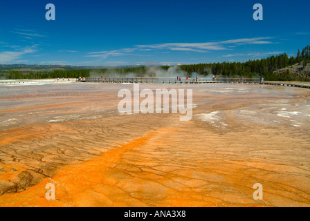 Die schönen Farben der Grand prismatische Frühling Midway Geyser Basin Yellowstone-Nationalpark Wyoming USA Stockfoto