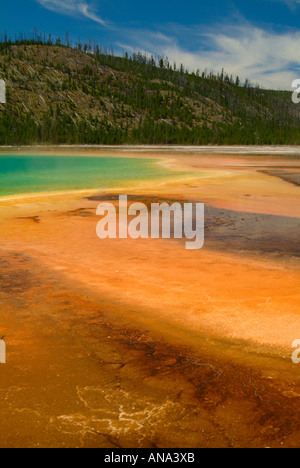 Die schönen Farben der Grand prismatische Frühling Midway Geyser Basin Yellowstone-Nationalpark Wyoming USA Stockfoto