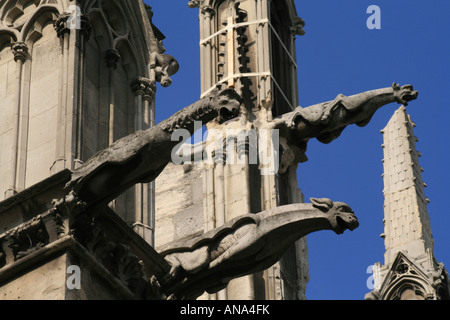 Wasserspeier, (Gargouille) auf die Kathedrale Notre Dame, Paris Stockfoto