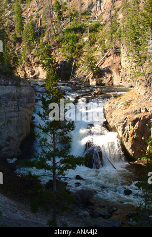 Firehole fällt Cascade auf Firehole Canyon Drive Yellowstone Nationalpark Wyoming USA Stockfoto