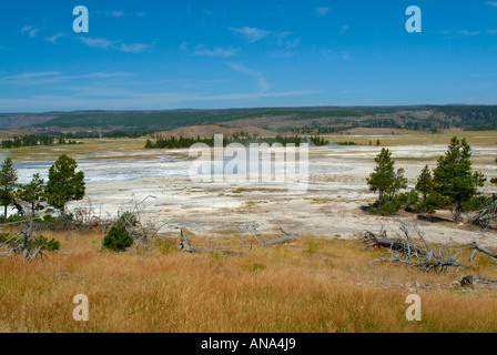 Eine allgemeine Ansicht des Lower Geyser Basin und der Fountain Paint Pot Trail im Yellowstone National Park in Wyoming USA Stockfoto