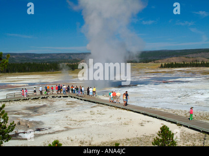 Allgemeine Ansicht von Clepsydra Geyser unteren Geysir Becken Yellowstone National Park Brunnen Paint Pot Trail Wyoming USA Stockfoto