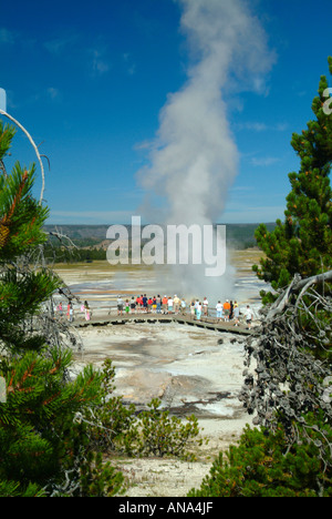 Allgemeine Ansicht von Clepsydra Geyser unteren Geysir Becken Yellowstone National Park Brunnen Paint Pot Trail Wyoming USA Stockfoto