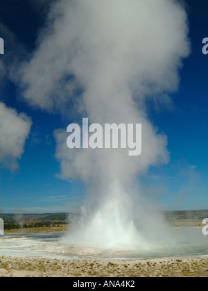 Fountain Geysir ausbrechen im unteren Geysir Becken Fountain Paint Pot Trail Yellowstone National Park Wyoming USA Stockfoto