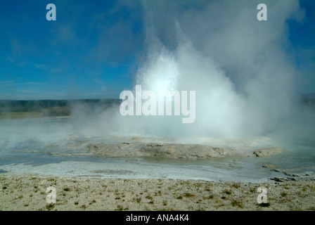 Fountain Geysir ausbrechen im unteren Geysir Becken Fountain Paint Pot Trail Yellowstone National Park Wyoming USA Stockfoto