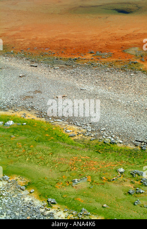 Nahaufnahme der Stichwahl Bereich der Windrad-Geysir im Norris-Geysir-Becken im Yellowstone National Park in Wyoming USA Stockfoto