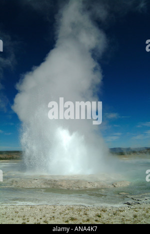 Fountain Geysir ausbrechen im unteren Geysir Becken Fountain Paint Pot Trail Yellowstone National Park Wyoming USA Stockfoto