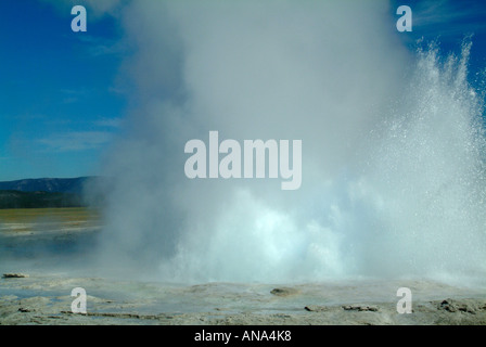 Fountain Geysir ausbrechen im unteren Geysir Becken Fountain Paint Pot Trail Yellowstone National Park Wyoming USA Stockfoto