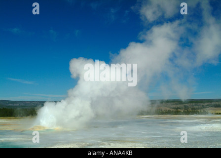 Fountain Geysir ausbrechen im unteren Geysir Becken Fountain Paint Pot Trail Yellowstone National Park Wyoming USA Stockfoto