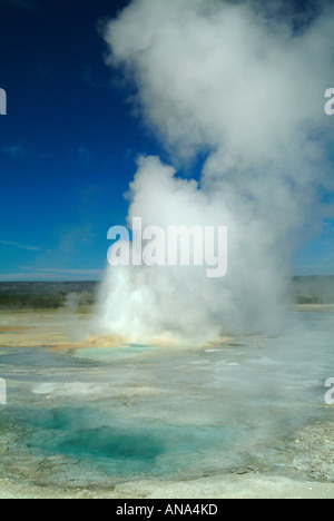 Fountain Geysir ausbrechen im unteren Geysir Becken Fountain Paint Pot Trail Yellowstone National Park Wyoming USA Stockfoto