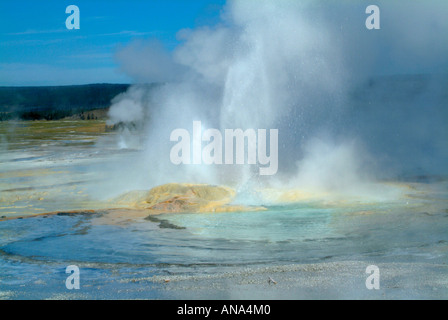 Fountain Geysir ausbrechen im unteren Geysir Becken Fountain Paint Pot Trail Yellowstone National Park Wyoming USA Stockfoto