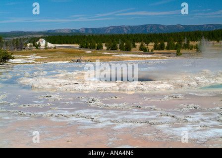 Großer Springbrunnen Geysir am Firehole Lake Drive in Yellowstone National Park in Wyoming USA Stockfoto