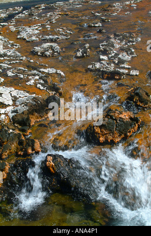 Wasser fließt in Run-Off Bereich am warmen See am Firehole Lake Drive Yellowstone Nationalpark Wyoming USA Stockfoto