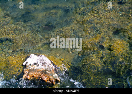 Wasser fließt in Run-Off Bereich am warmen See am Firehole Lake Drive Yellowstone Nationalpark Wyoming USA Stockfoto