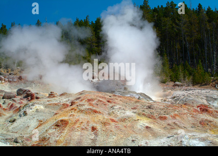 Steamboat-Geysir im Norris-Geysir-Becken im Yellowstone National Park in Wyoming USA Stockfoto