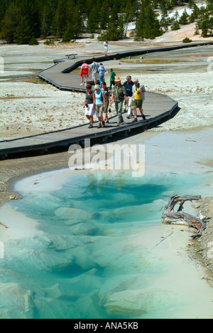 Touristen auf der Promenade in der Nähe von Congress Pool im Porzellan-Becken im Norris-Geysir-Becken im Yellowstone National Park in Wyoming USA Stockfoto