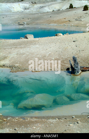 Das Greeny blaue Wasser des einen schönen Pool im Porzellan-Becken im Norris-Geysir-Becken im Yellowstone National Park in Wyoming USA Stockfoto