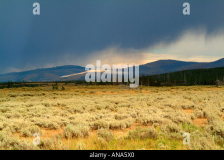 Ein Regen Sturm Pässe über Gallatin Gebirge mit Schwanensee flach im Vordergrund Yellowstone-Nationalpark, Wyoming Stockfoto