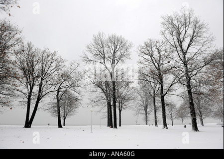Michigan-Winter-Szene Stockfoto