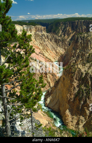 Der Yellowstone River fließt durch den Grand Canyon des Yellowstone angesehen vom Inspiration Point Stockfoto