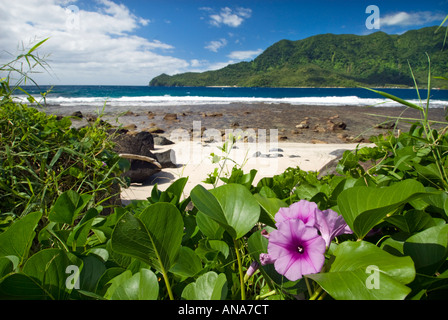 SAMOA UPOLU NE Nord-Ost Nordost Nord Ost in der Nähe von Uafato und Fagaola Bay Küste Ufer an der Küste vor der Küste eingerückt viel ragg Stockfoto