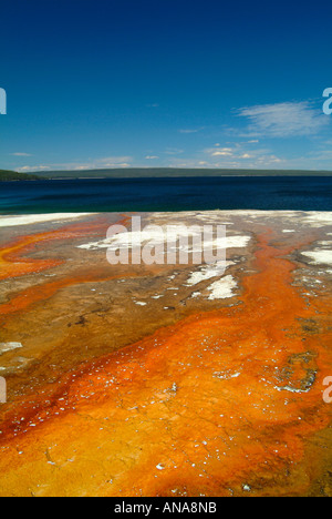 Run-Off Black Pool Feder am West Thumb Geyser Basin mit Yellowstone Lake im Hintergrund und schönen blauen Himmel in der Nähe Stockfoto