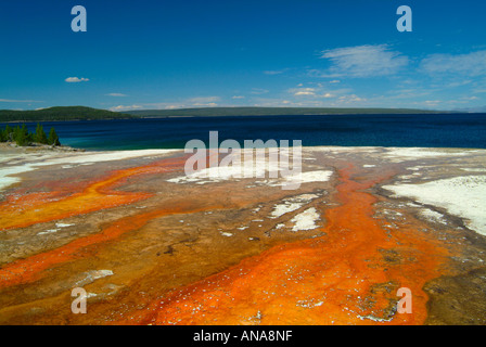 Run-Off Black Pool Feder am West Thumb Geyser Basin mit Yellowstone Lake im Hintergrund und schönen blauen Himmel in der Nähe Stockfoto