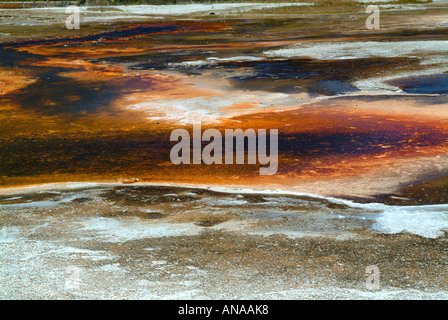 Nahaufnahme von Run-Off Bereich in der Nähe von Cliff Geysir im oberen Geysir-Becken im Yellowstone National Park in Wyoming USA Stockfoto