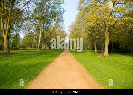 Sandy Weg verschwindet Stockfoto
